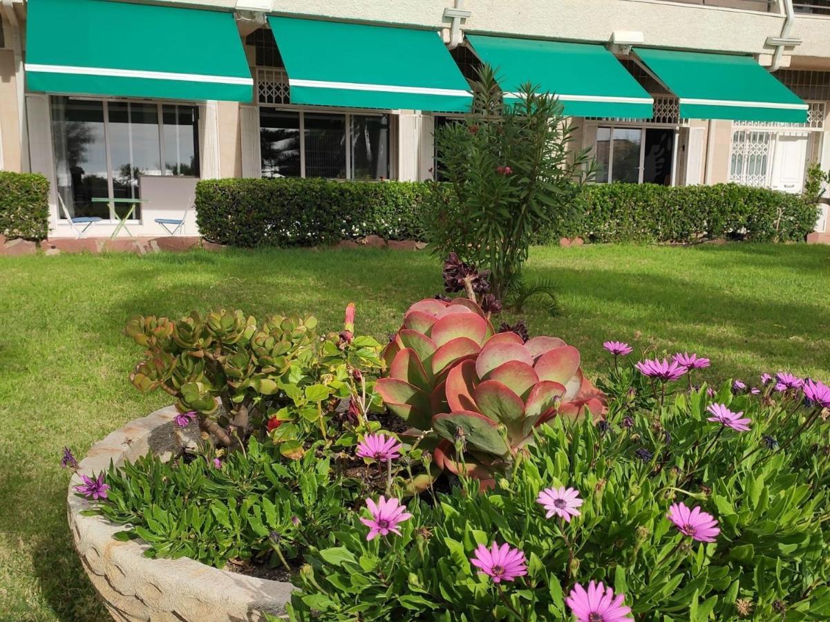 Sunrise Estudio Zebra, Con Vistas Jardin Y Mar ミアミ・プラトーヤ エクステリア 写真